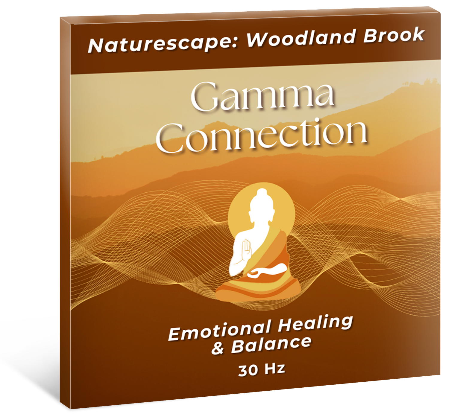 Gamma Connection-Woodland Brook cover-left
