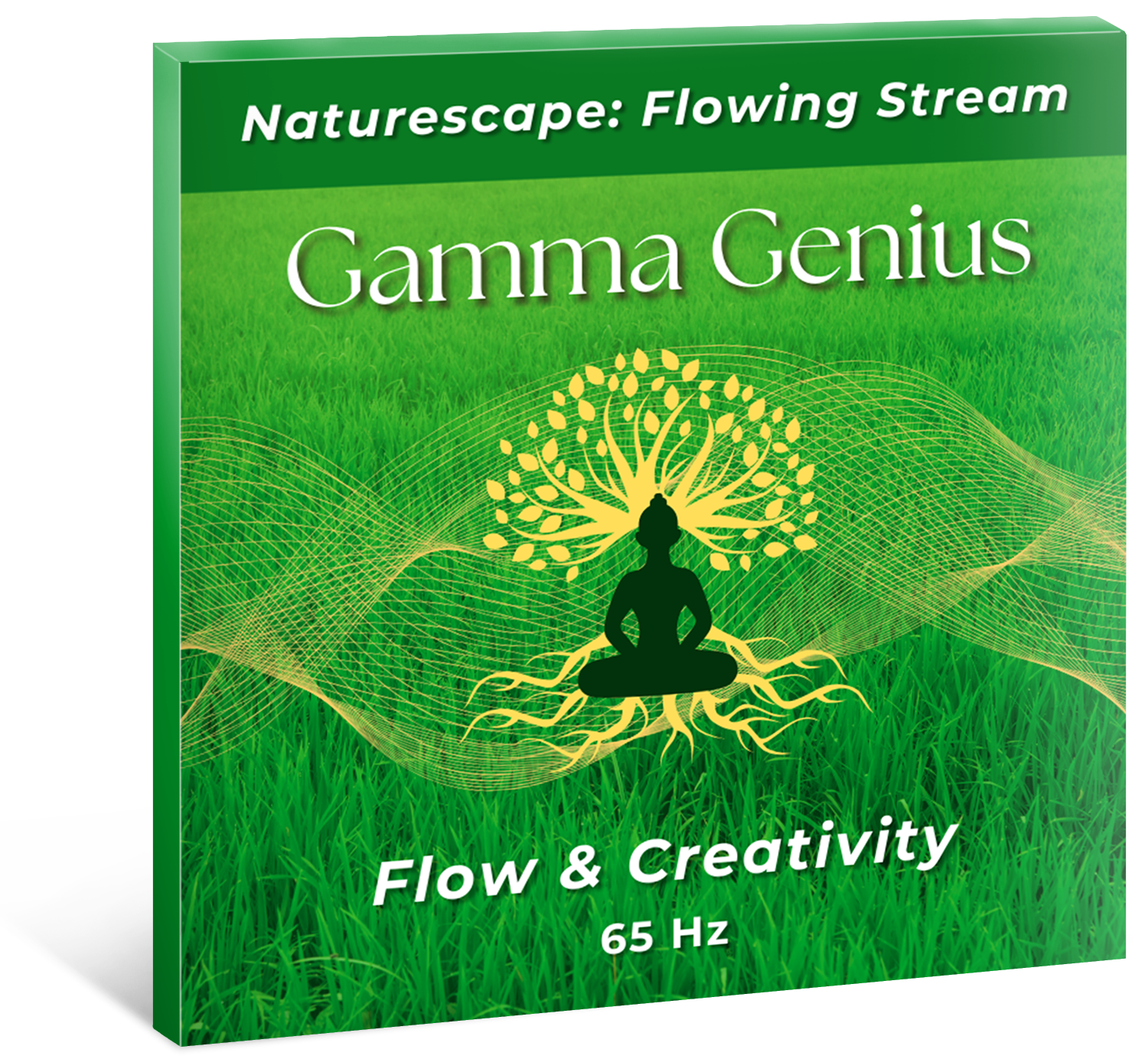Gamma Genius-Flowing Stream cover-left