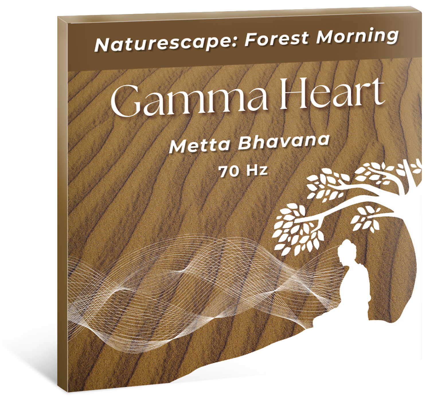 Gamma Heart-Forest Morning cover-left